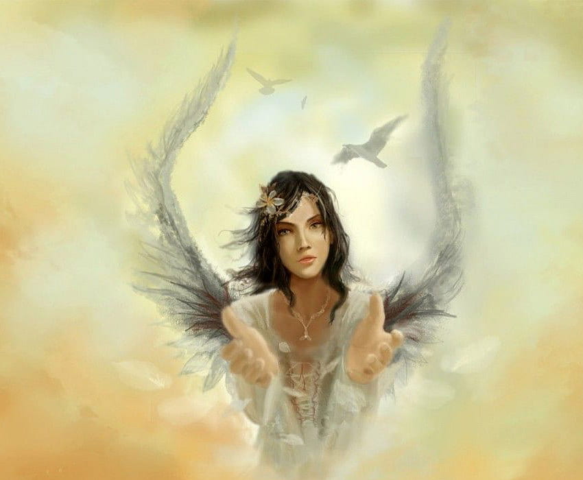 Angel of my heart;), sunshine, wings, divine, soft, colors, angel, soul, fantasy, abstract, light, peace, forever HD wallpaper
