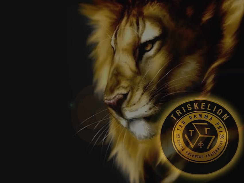 Lion Triskelion Logo - Novocom.top HD wallpaper