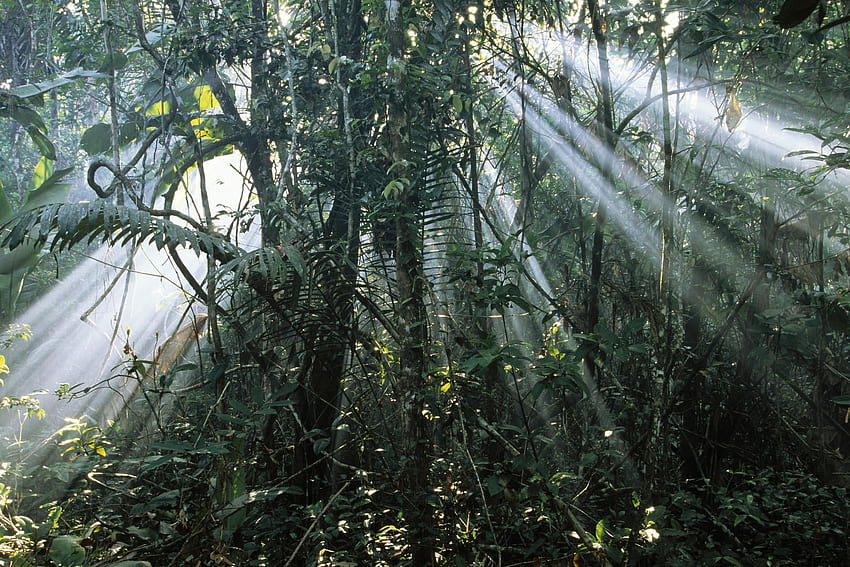 Streaming Sunbeams Guyana . Guyana, , Landscape HD wallpaper