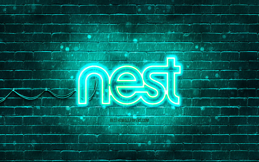Google Nest turquoise logo, , turquoise brickwall, Google Nest logo, brands, Google Nest neon logo, Google Nest HD wallpaper