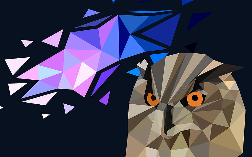 Geometric Owl; px : HD wallpaper