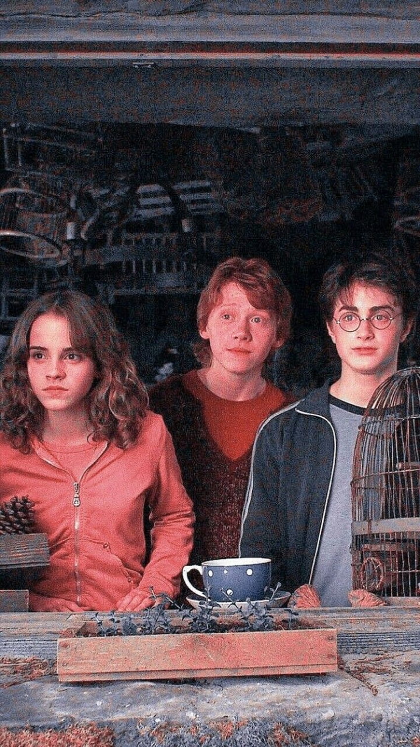 Harry potter, Ron, ronweasley, harrypotter, Weasley, potterhead, Hermione, granger, hermionegranger HD phone wallpaper