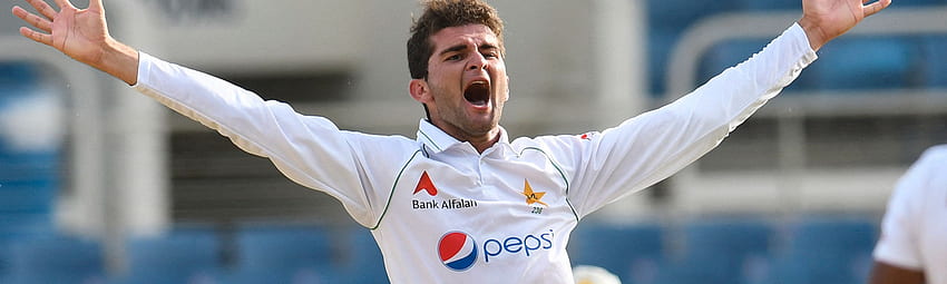 Super Shaheen: Afridi's month to remember, Shaheen Afridi HD wallpaper