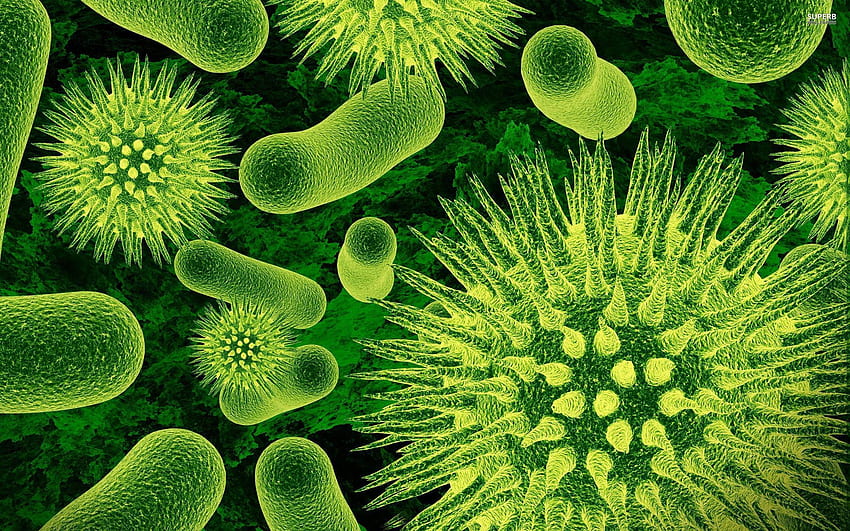 Bakteriler, Mikroorganizmalar HD duvar kağıdı