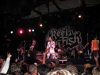 Reel Big Fish LIVE IN CONCERT DVD