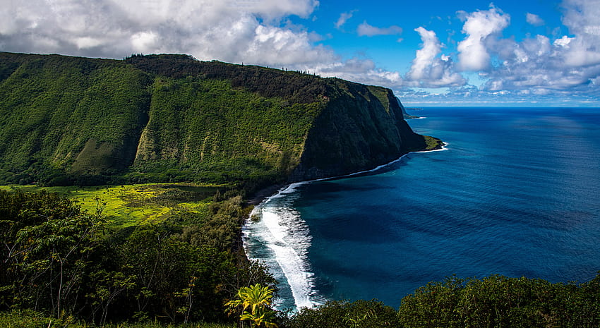 Coast of Hawaii, cliff, hawaii, beach, coast HD wallpaper