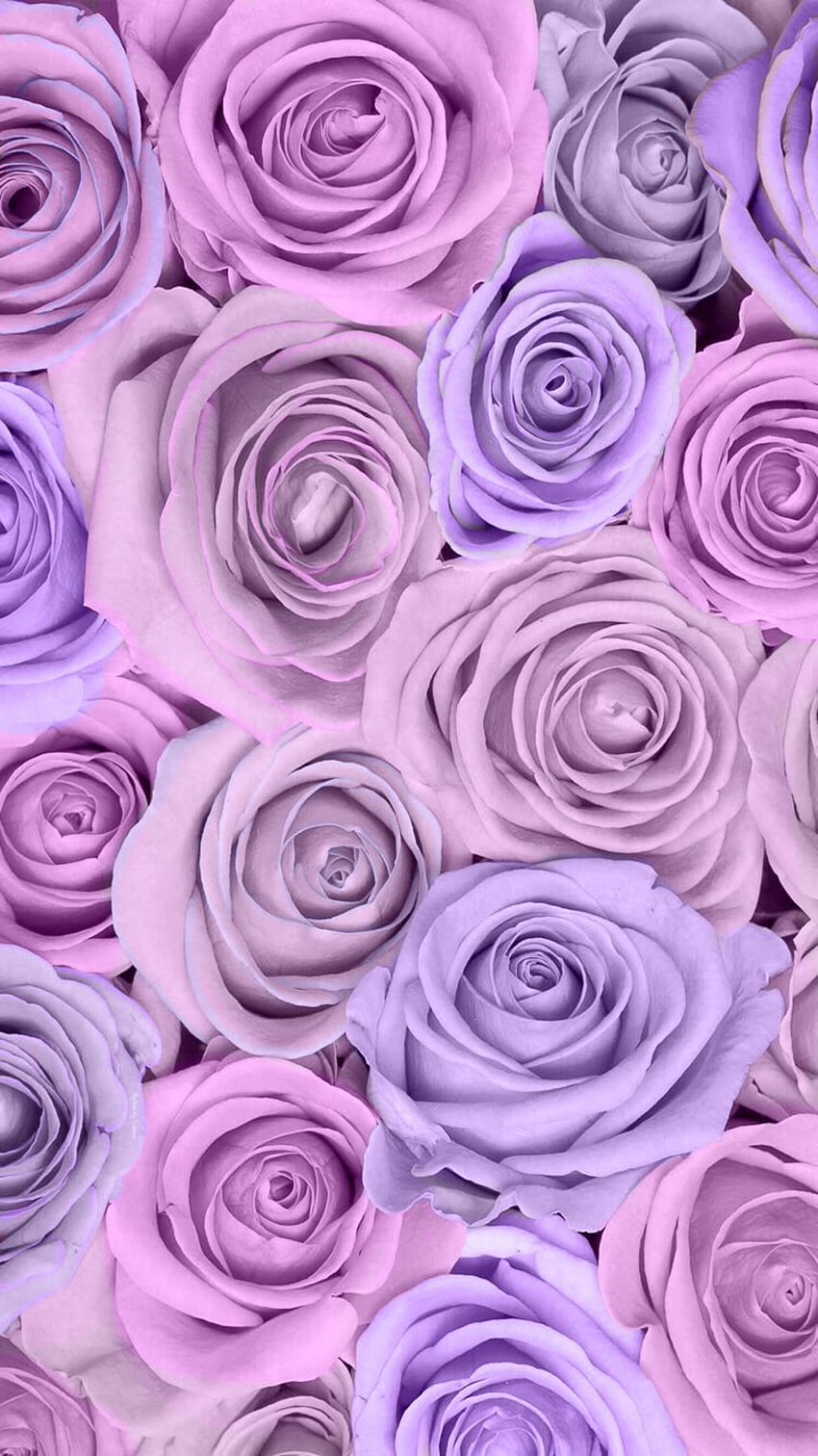 Purple Flower Wallpaper For IPhone 77 images