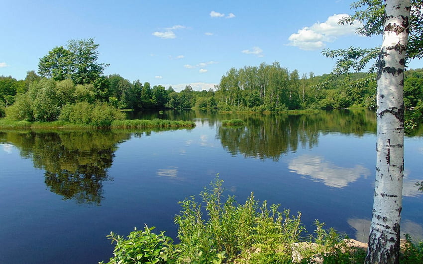 ทะเลสาบในลัตเวีย ไม้เรียว สะท้อน ลัตเวีย สงบ ทะเลสาบ วอลล์เปเปอร์ HD