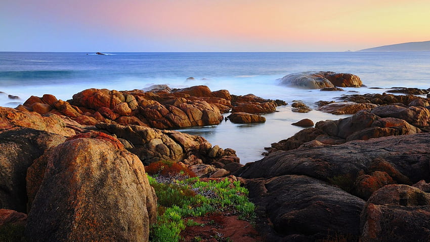 magnifique rivage rocheux, mer, rivage, fleurs, rochers Fond d'écran HD