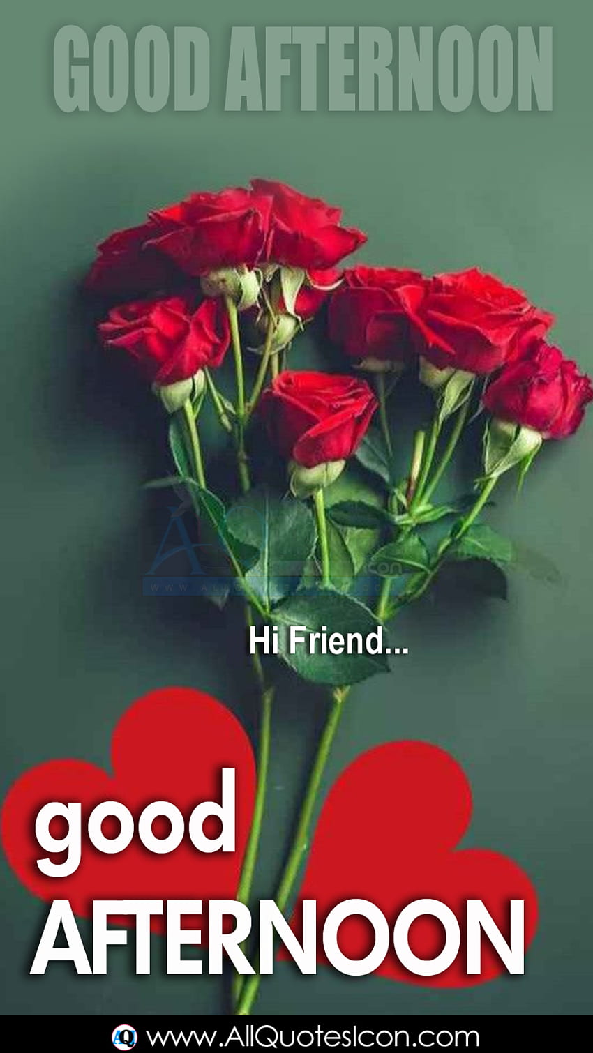 Beautiful Good Afternoon Best Wishes Messages for Girl Friend ...