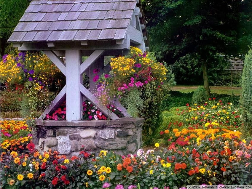 여름 정원, 여름, 정원, 아름다운, 꽃, 화려한 HD 월페이퍼