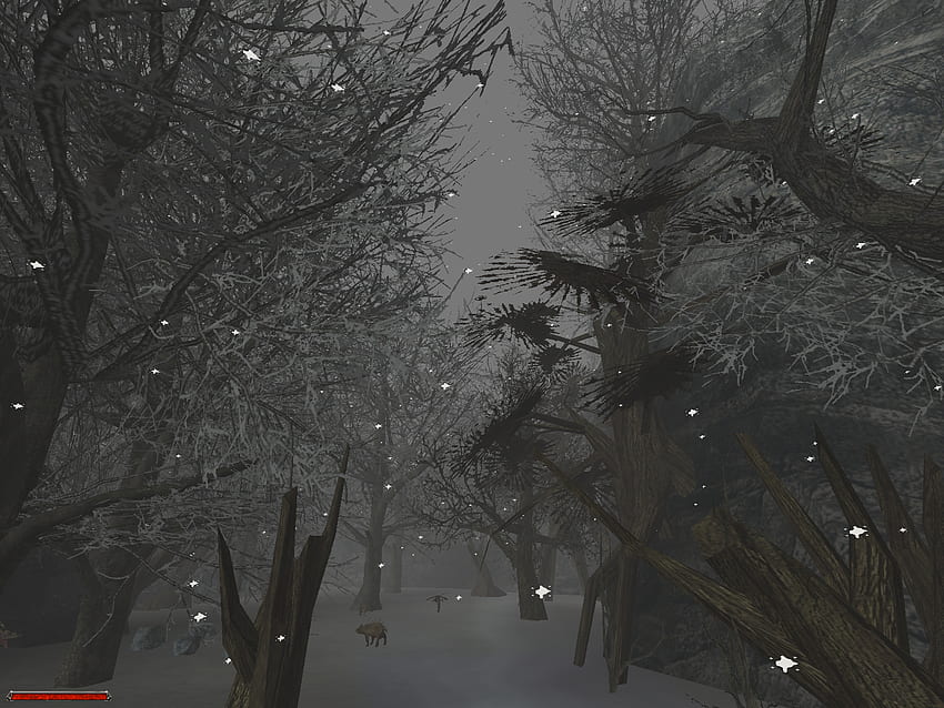 12 - Gothic 2: Complete Winter Mod for Gothic II - The Night of the Raven HD wallpaper