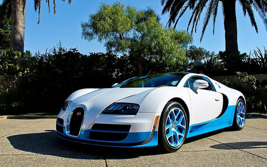 Bugatti, Veyron, Vitesse, Blue, Palm Trees, Bugatti White HD wallpaper