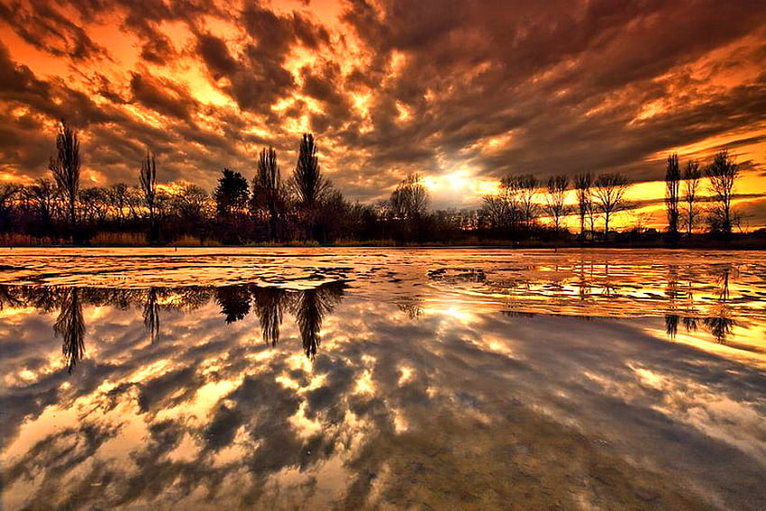 Before the night, clouds, trees, gold, reflections, sunset HD wallpaper