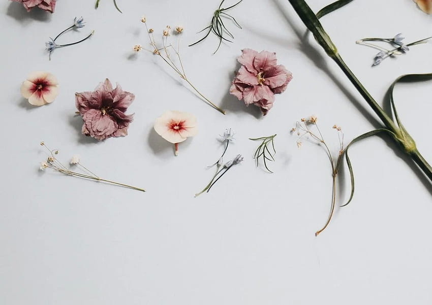 Minimalist : [HQ], Neutral Floral HD wallpaper