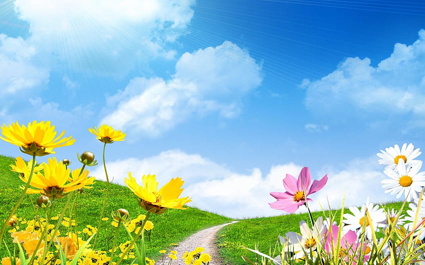 wiosenne kwiaty i trawiasta łąka, promienie, dzikie kwiaty, wzgórza, ścieżka, łąka, trawa, stokrotki, promienie słoneczne, chmury, kwiaty, niebo, wiosna, wzgórze Tapeta HD