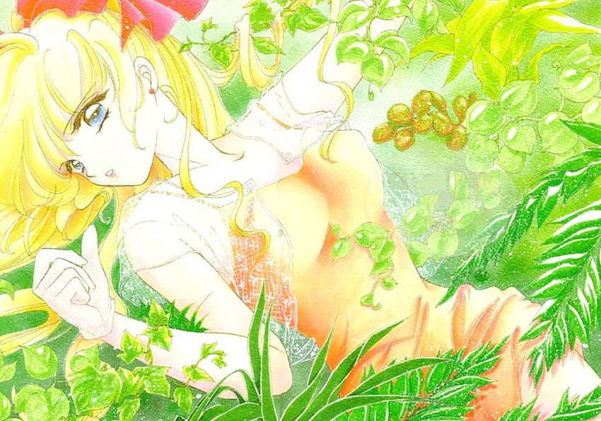 Sailor Venus - Aino Minako - Mobile HD phone wallpaper | Pxfuel