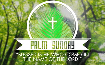 Palm sunday greetings HD wallpapers | Pxfuel