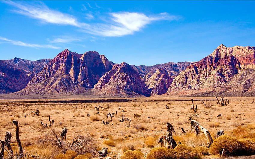 Stunning Desert 1,920×1,200 Pixels. Desert, High Desert HD wallpaper