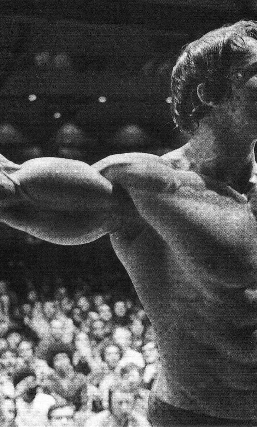 Arnold Schwarzenegger Bodybuilding Poster iPhone 6, Bodybuilding Android HD  phone wallpaper | Pxfuel