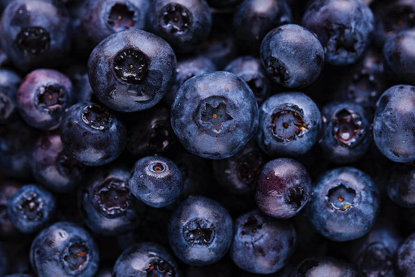 Food, Blueberry, Bilberries, Berries, Ripe HD wallpaper