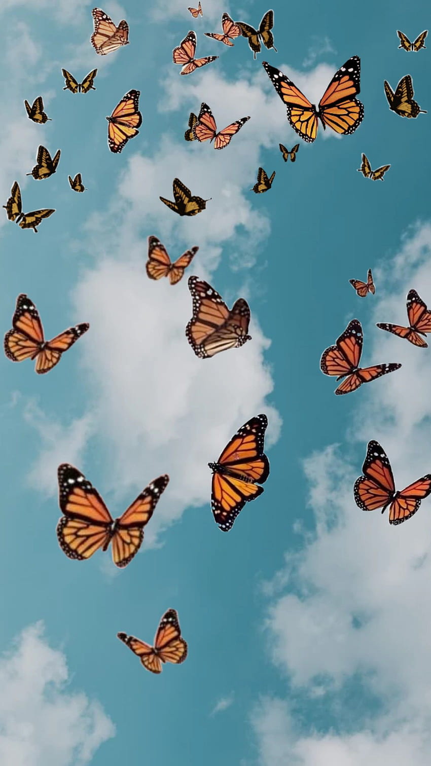 Butterfly in Sky aesthetic in 2020. Butterfly iphone, Aesthetic pastel , Butterfly, Fall Butterfly HD phone wallpaper