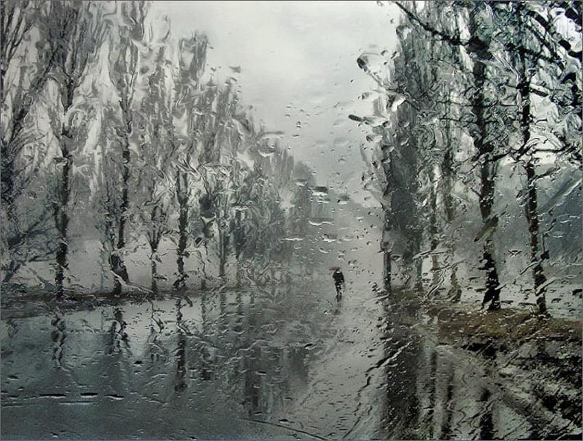 RAINY DAY, rain, graphy, raindrops, alone, bw, trist, nature HD wallpaper