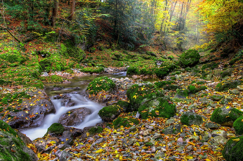Пейзаж, природа, камъни, есен, гора, река HD тапет