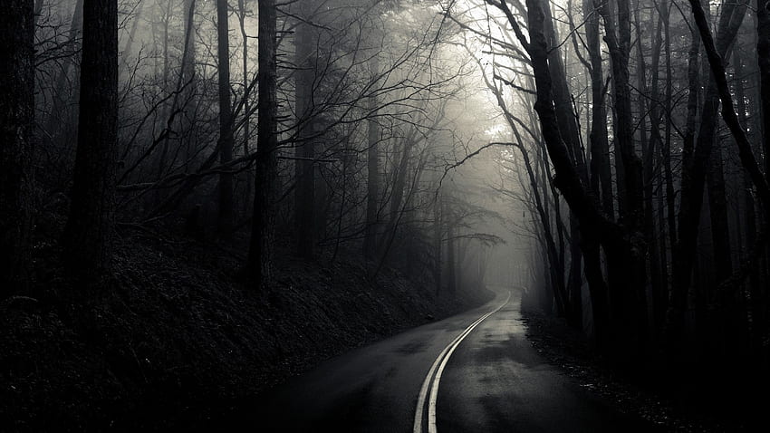 dark forest mist roads high resolution [] for your , Mobile & Tablet. Explore Dark Depressing . Sad , Love Sad , So Sad, 2560 X 1440 Dark Forest HD wallpaper