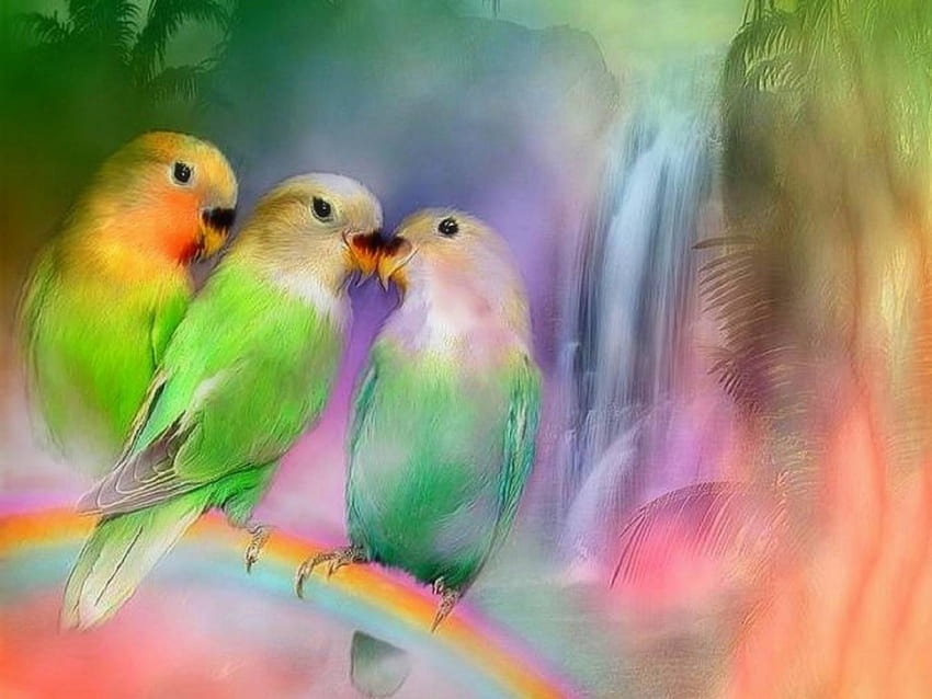 Love on Rainbow, love four seasons, beloved valentines, birds, animals, love, colors, waterfalls, rainbows HD wallpaper