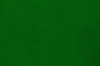 Hot Green Solid Color Background Image  Free Image Generator