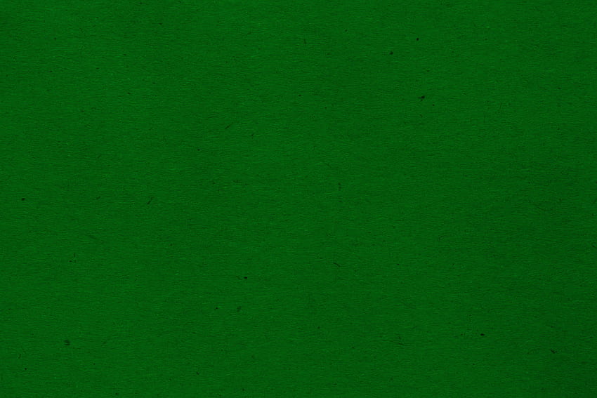 Dark Green Colour Background Background Background - Plain Dark Green Background - - HD wallpaper