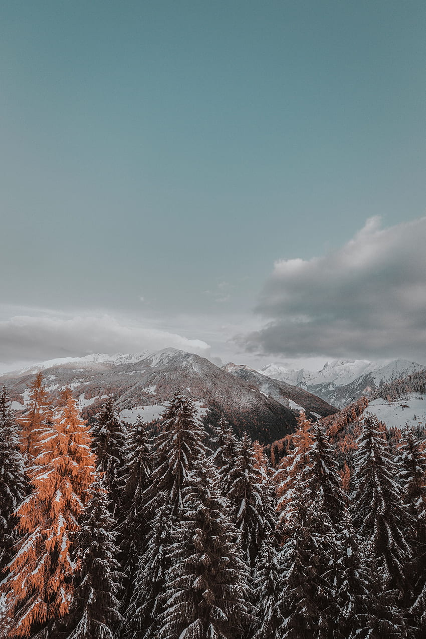 Landschaft, Natur, Bäume, Berge, Wolken, schneebedeckt, verschneit HD-Handy-Hintergrundbild
