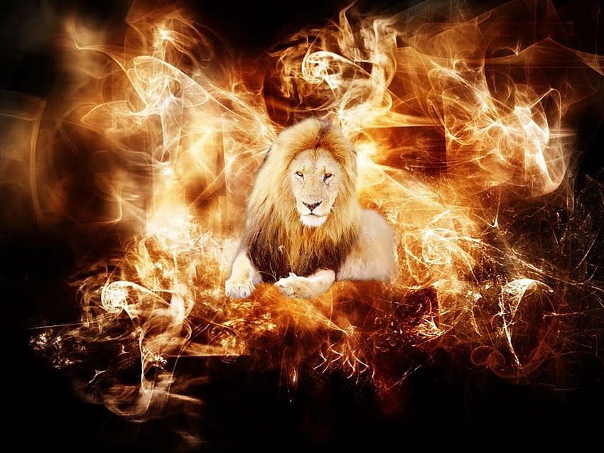 - Online: Fire, Flaming Fox HD wallpaper