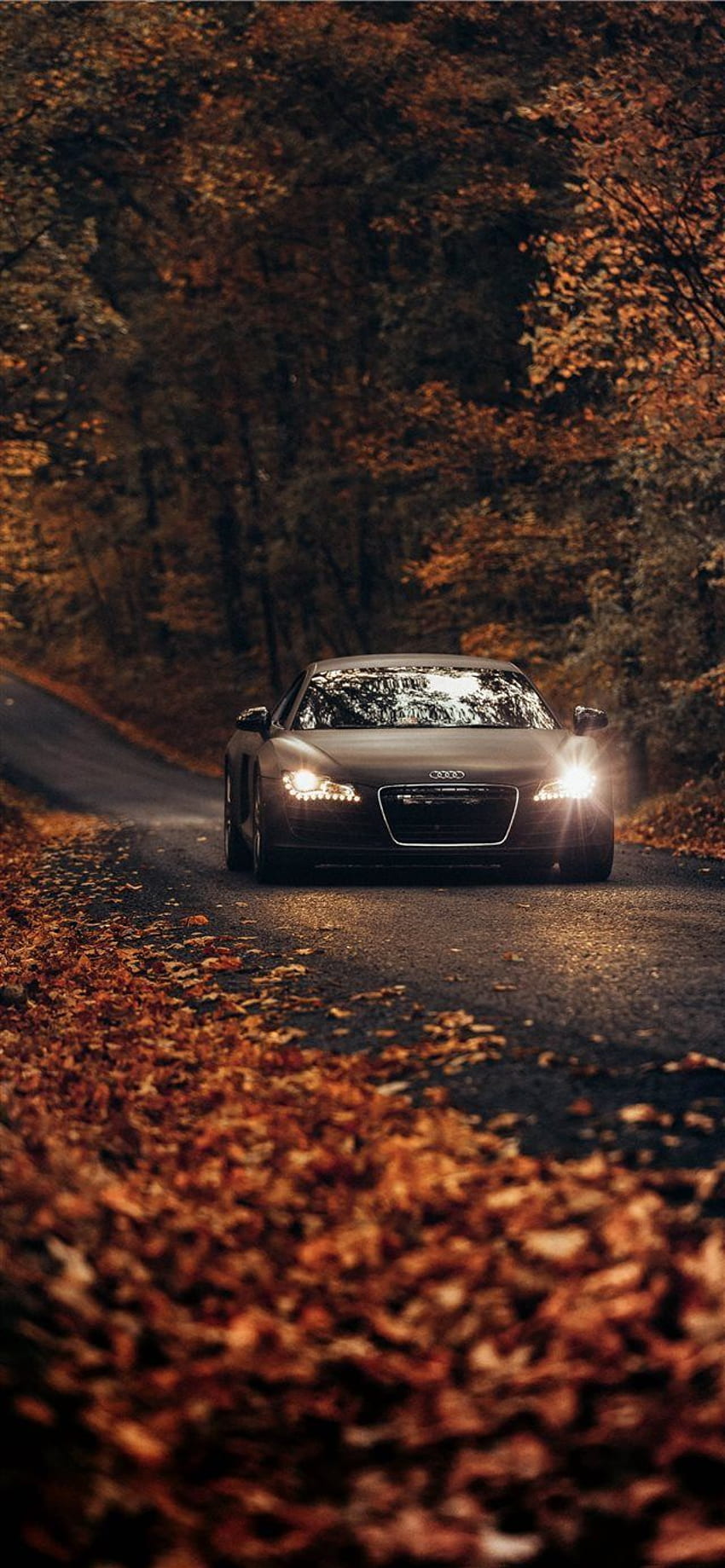 Fall Drives on Country Roads iPhone X HD phone wallpaper