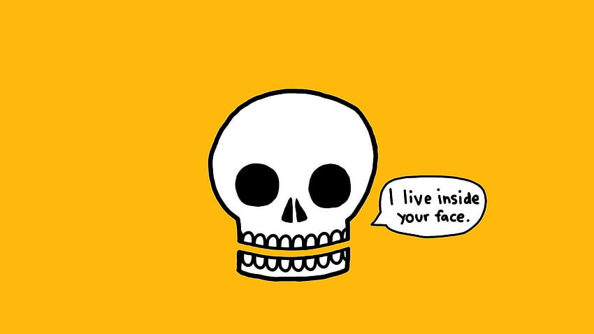 Skull Says, Skeleton Meme HD wallpaper
