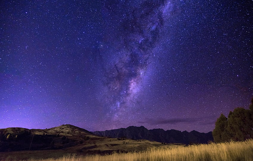 Natura, Notte, Orizzonte, Cielo stellato, Campo, Via Lattea Sfondo HD