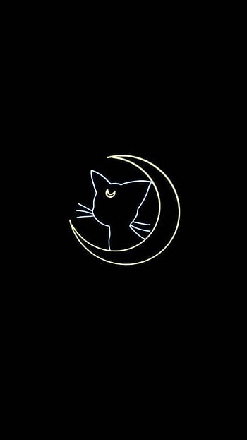 Coffee aesthetic anime aesthetic black black cat cat HD phone  wallpaper  Peakpx