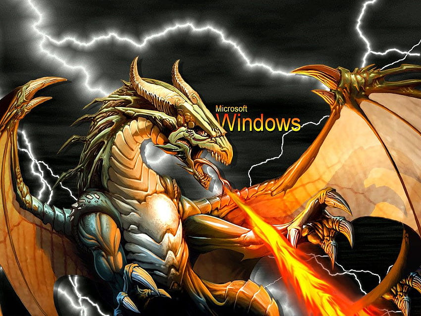 dragon wallpapers for windows xp