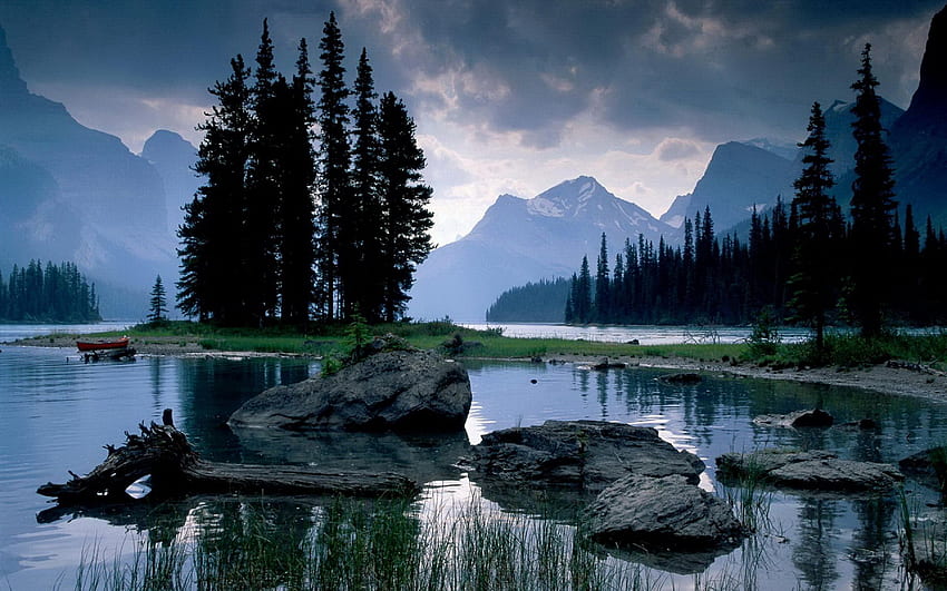 Natur, Flüsse, Steine, Holz, Baum HD-Hintergrundbild