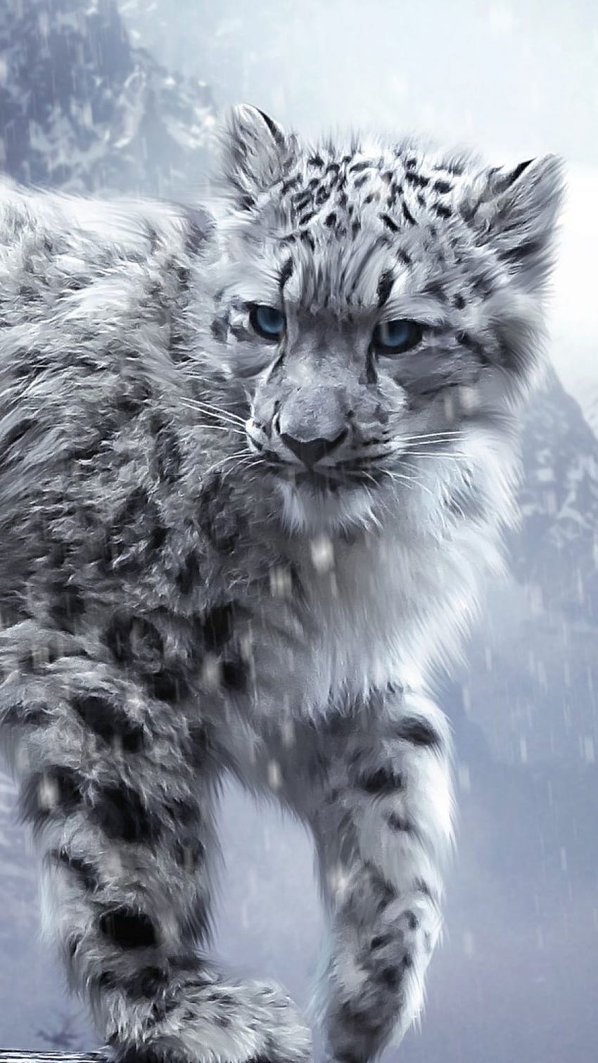 Leopardo delle nevi, leopardo bianco Sfondo del telefono HD