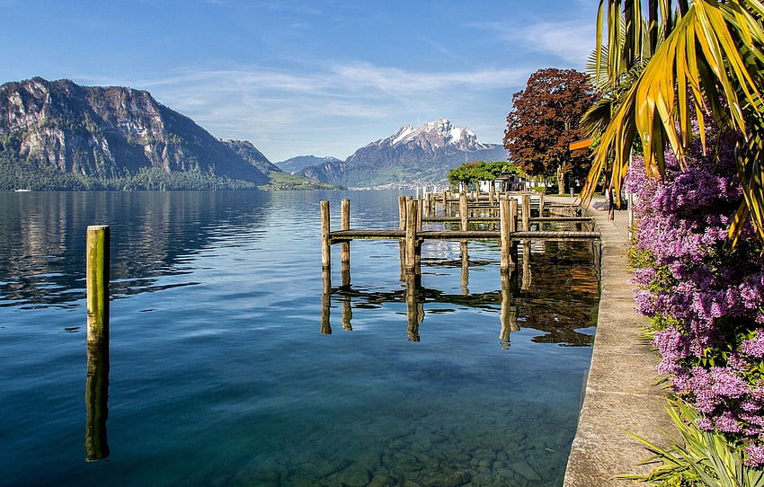 pegunungan, danau, Swiss, Swiss, Weggis, Kanton Luzern untuk , bagian пейзажи Wallpaper HD