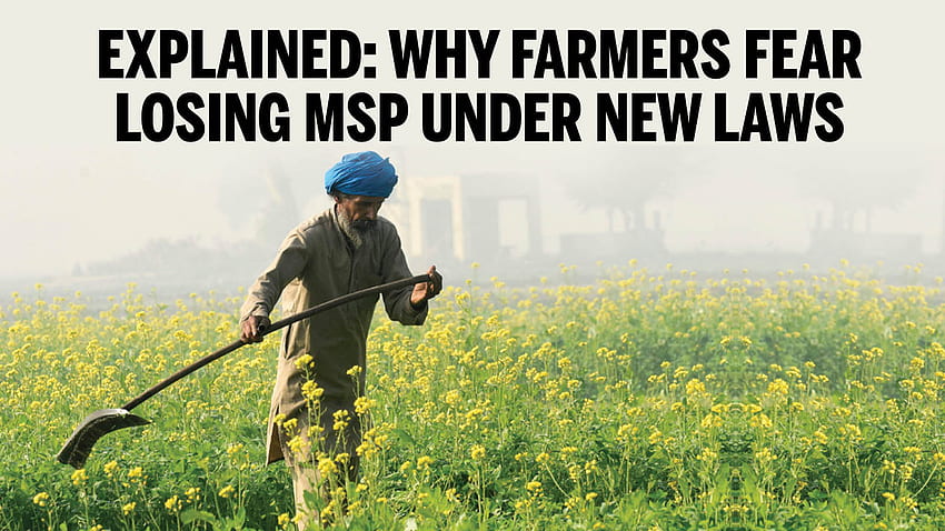 What is Farm Bill and Why farmers fear losing MSP under new laws: Explained - Times of India, No Farmers No Food HD wallpaper