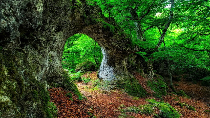 Горска арка, зелено, арка, дървета, природа, гора HD тапет