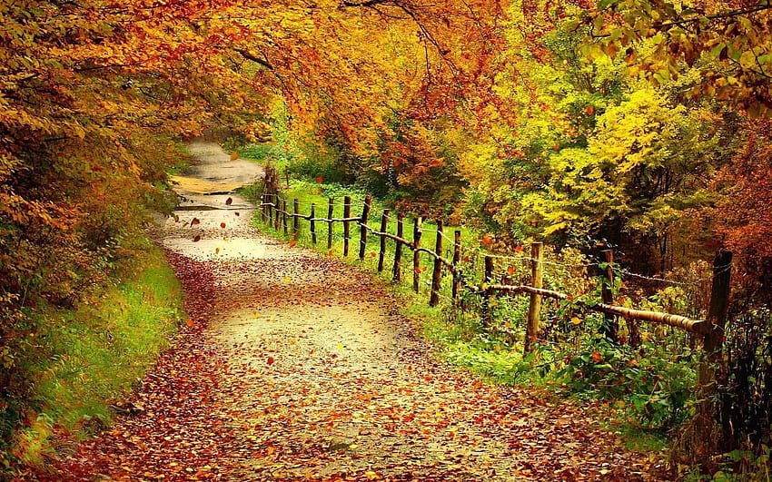 ... Nature : Autumn Scenery Background with ... HD wallpaper