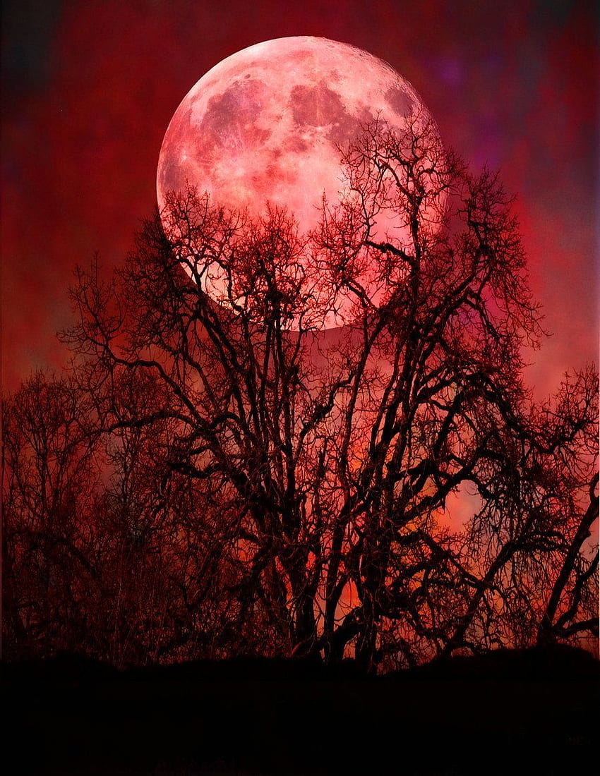 Кървава луна на вампир, Червен вампир HD тапет за телефон