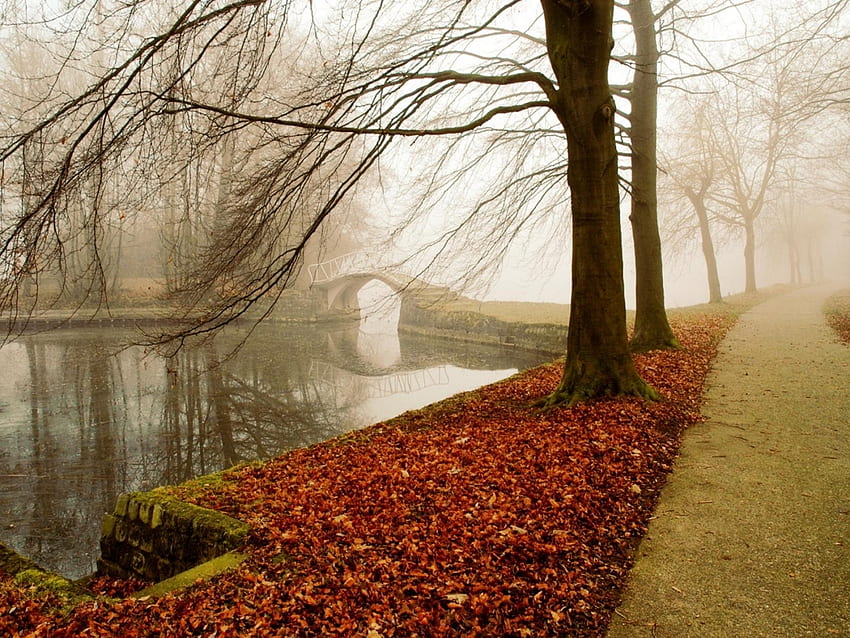 Landschaft, Natur, Herbst HD-Hintergrundbild