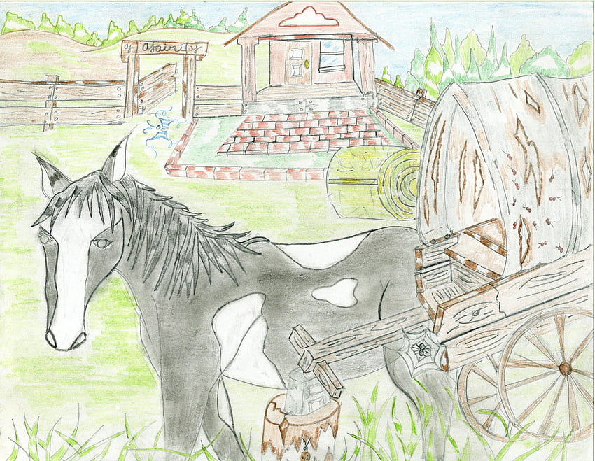 Конят Пинто, Карикатури, Коне с графични , Банделе Гатсън, моделиране на Ajaini HD тапет