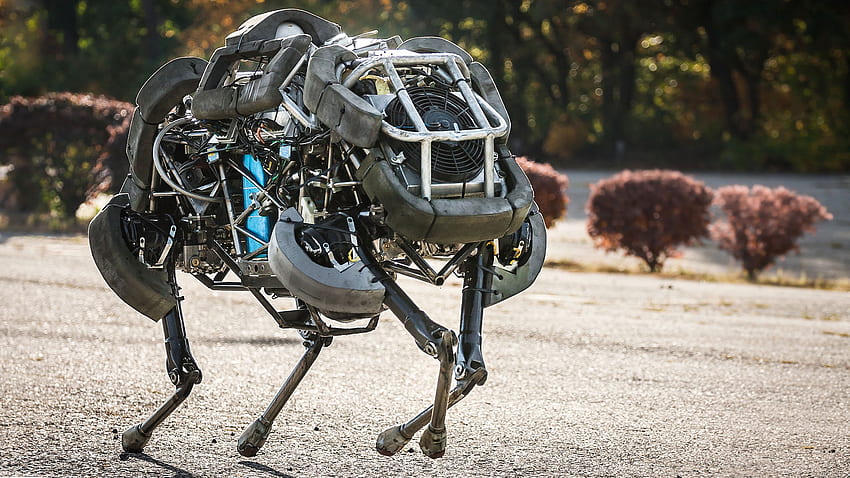 Boston Dynamics Wild Cat, Best Robots Of 2015, Robot, Wild Cat, Cheetah, Four Footed, Running, Speed, Review, Google, Hi Tech, Running Robot HD wallpaper