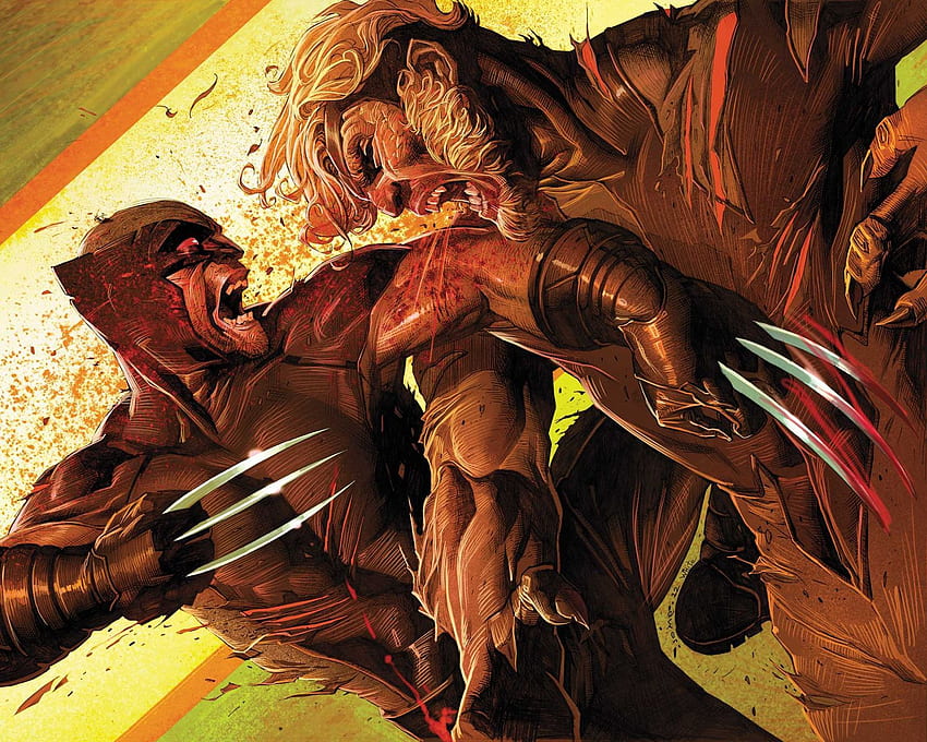 Sabertooth vs Wolverine - en, New Wolverine fondo de pantalla
